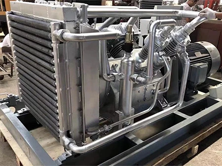 Поршневой газовый компрессор